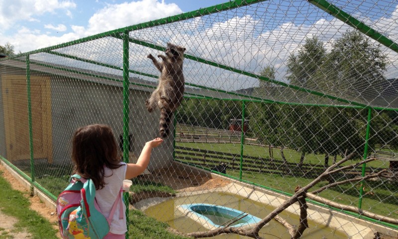 Excursie la Parcul de Agrement Moara de Vânt Excursie la Parcul de Agrement Moara de Vânt